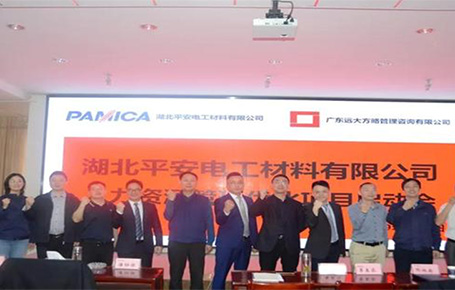 湖北平安电工携手远大方略落地《人力资源》驻厂管理星空官方站登录入口项目