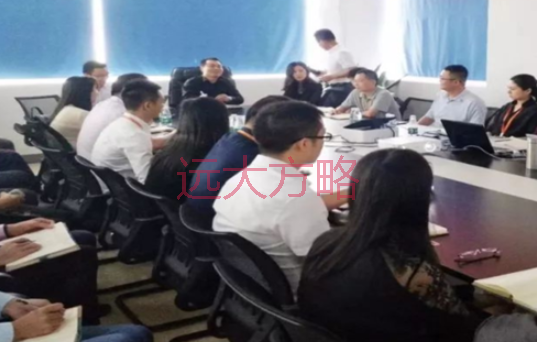 深圳市湘凡科技携手远大方略落地《集成产品开发》驻厂管理星空官方站登录入口项目