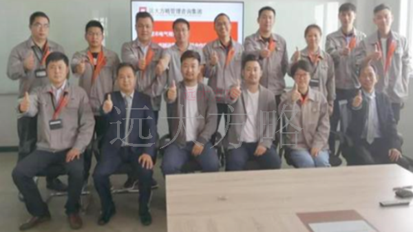 江苏常州登丰电气携手远大方略落地《集成供应链》驻厂管理星空官方站登录入口项目