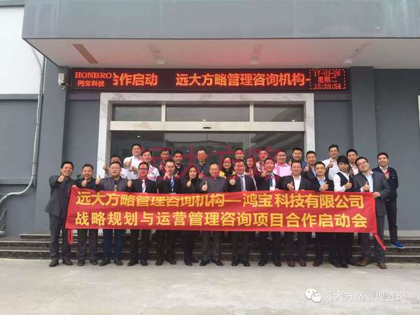 鸿宝科技公司战略规划与运营管理星空官方站登录入口项目