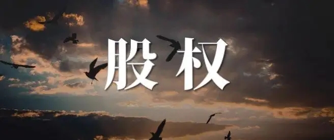 股权星空官方站登录入口